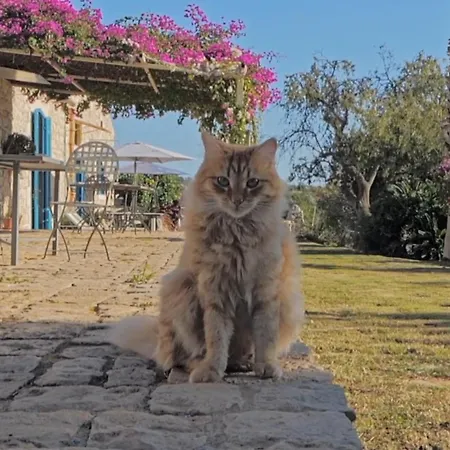 农家乐 Brizza Casale Zappulla