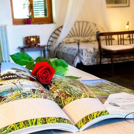 Brizza Gospodarstwo agroturystyczne *